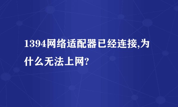 1394网络适配器已经连接,为什么无法上网?