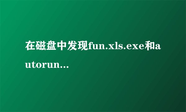 在磁盘中发现fun.xls.exe和autorun.inf（隐藏的）两个文件