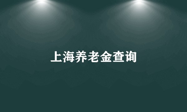 上海养老金查询