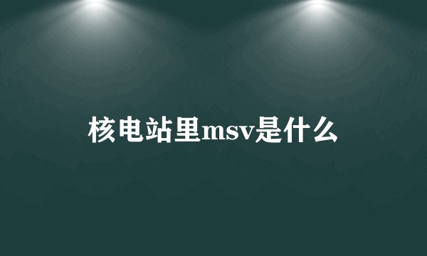 核电站里msv是什么