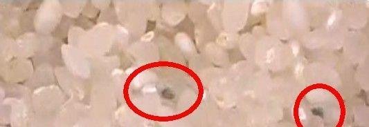 怎样防止够买到注水大米