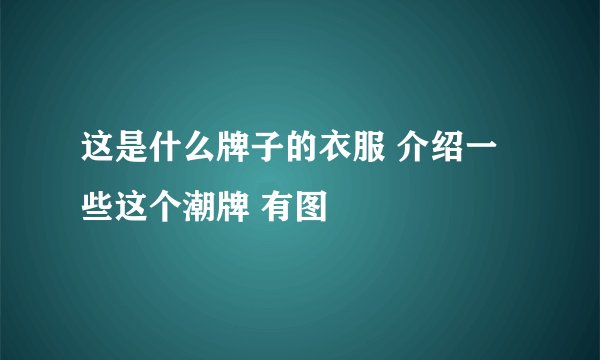 这是什么牌子的衣服 介绍一些这个潮牌 有图