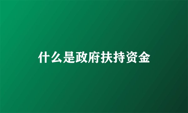 什么是政府扶持资金