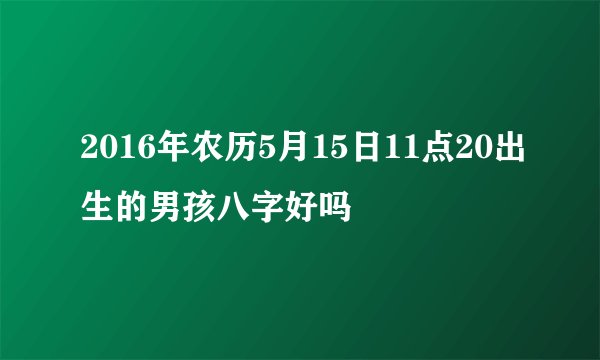 2016年农历5月15日11点20出生的男孩八字好吗