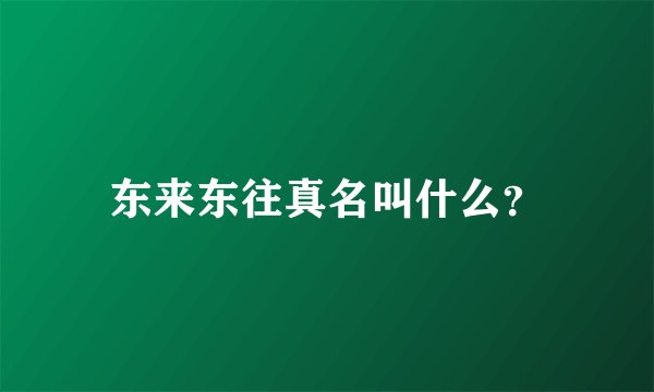 东来东往真名叫什么?