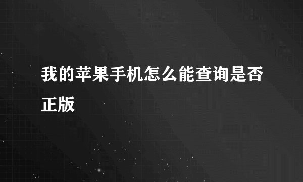 我的苹果手机怎么能查询是否正版