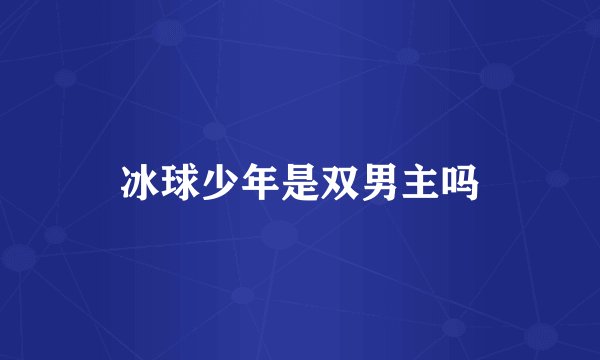 冰球少年是双男主吗