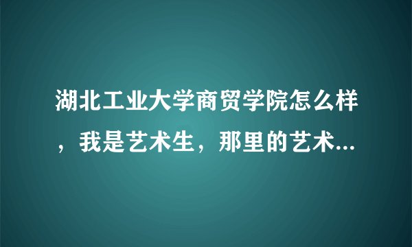 湖北工业大学商贸学院怎么样，我是艺术生，那里的艺术系里的教学质量怎么样，麻烦你介绍一下，谢谢！