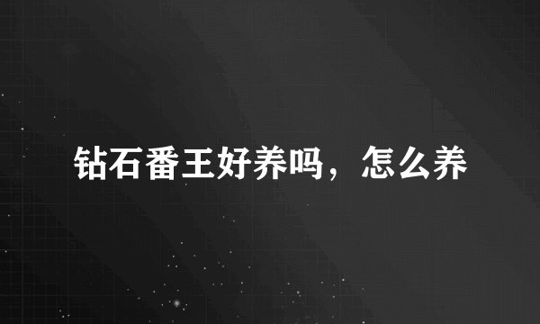 钻石番王好养吗，怎么养