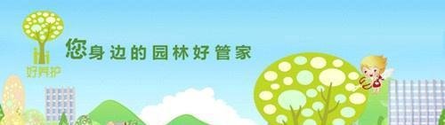 【致敬园林人】关于美好,多的是你不知道的事