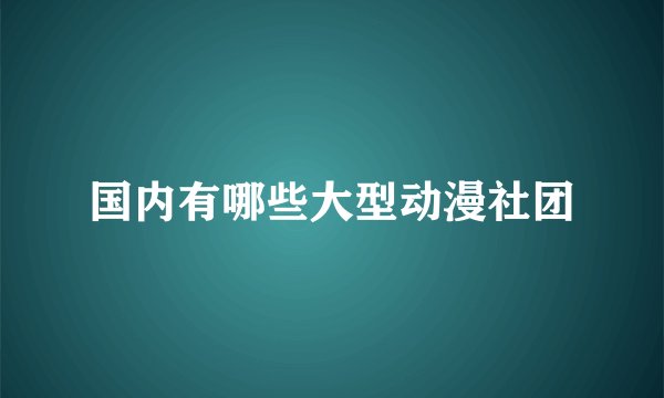 国内有哪些大型动漫社团