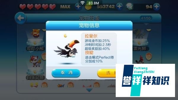 天天酷跑进击模式使用什么宠物比较好