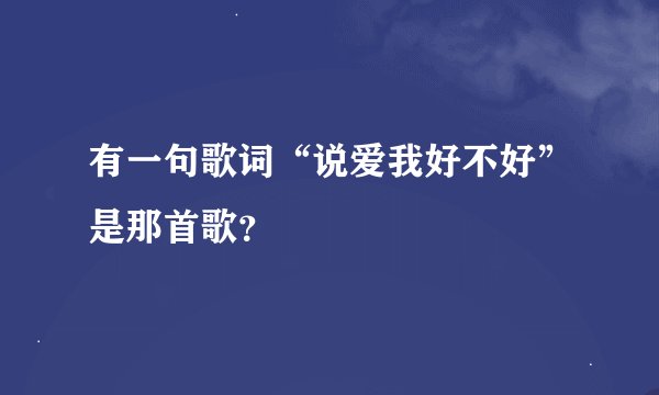 有一句歌词“说爱我好不好”是那首歌？