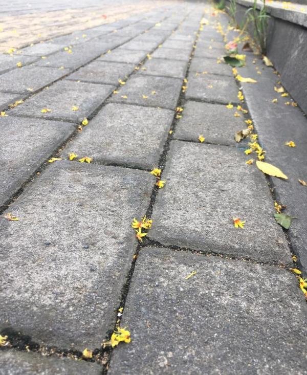 不跟随，以心换心