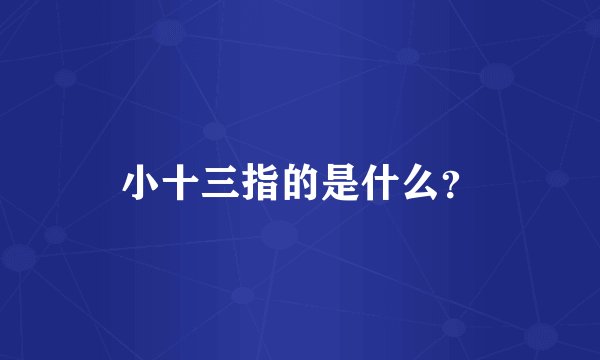 小十三指的是什么？