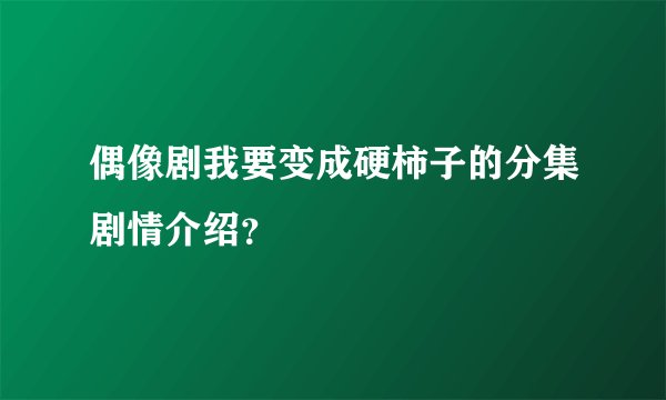 偶像剧我要变成硬柿子的分集剧情介绍？