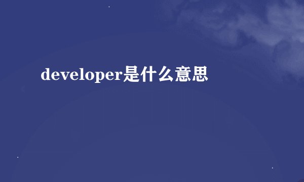 developer是什么意思