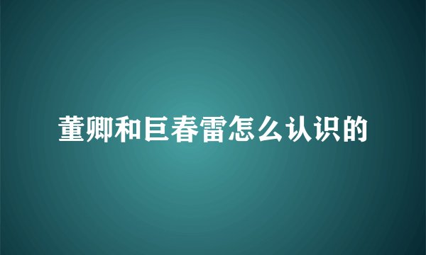 董卿和巨春雷怎么认识的