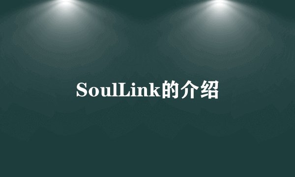 SoulLink的介绍
