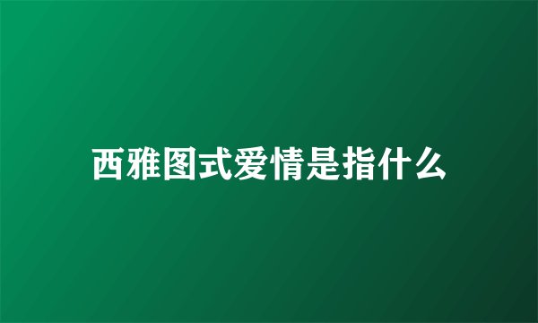 西雅图式爱情是指什么