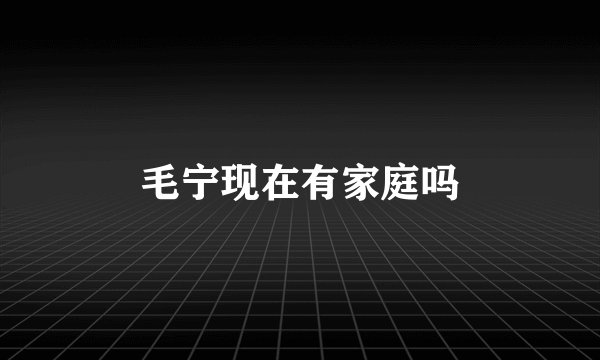 毛宁现在有家庭吗