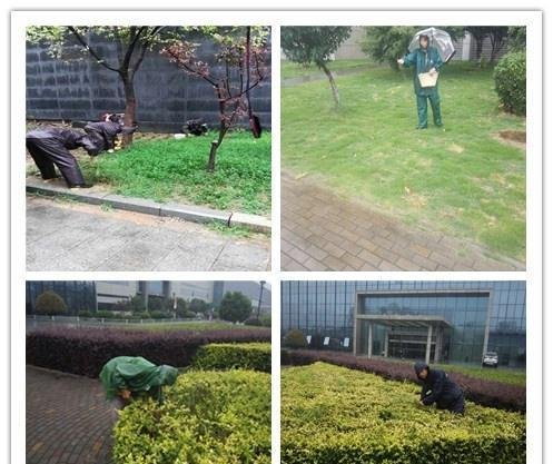 【致敬园林人】关于美好,多的是你不知道的事