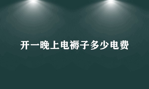 开一晚上电褥子多少电费