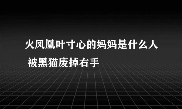 火凤凰叶寸心的妈妈是什么人 被黑猫废掉右手