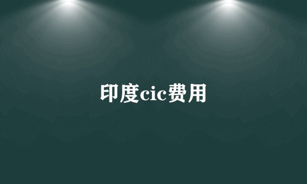印度cic费用