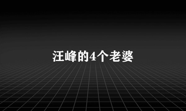 汪峰的4个老婆
