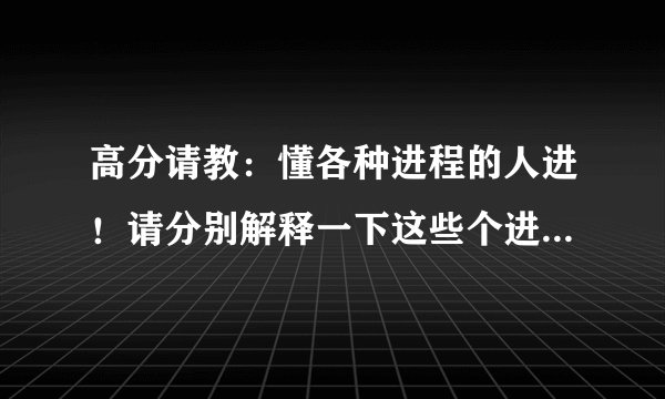 高分请教：懂各种进程的人进！请分别解释一下这些个进程~ 看看有没有可疑的