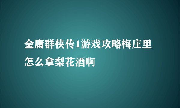 金庸群侠传1游戏攻略梅庄里怎么拿梨花酒啊