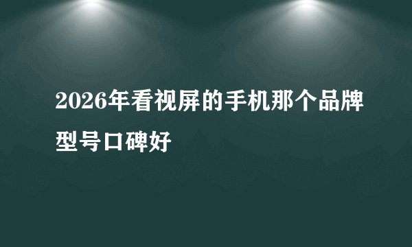 2026年看视屏的手机那个品牌型号口碑好