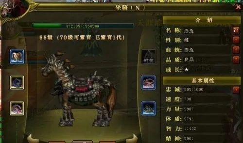 《御龙在天》练马地点详细介绍