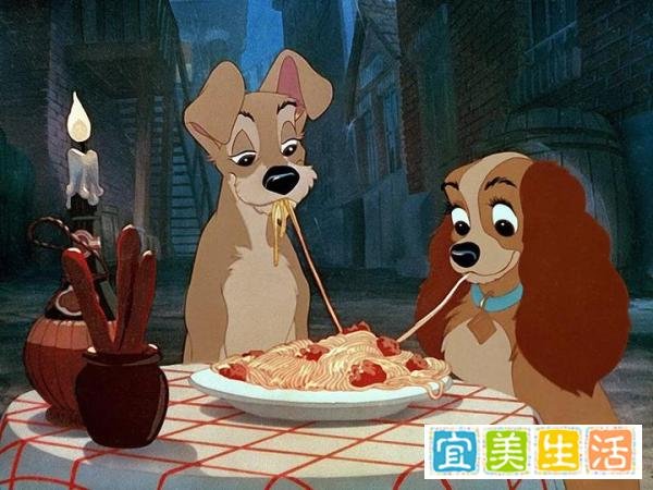 小姐与流浪汉 观后感