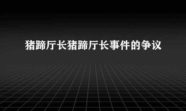 猪蹄厅长猪蹄厅长事件的争议