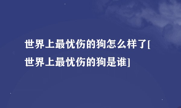 世界上最忧伤的狗怎么样了[世界上最忧伤的狗是谁]