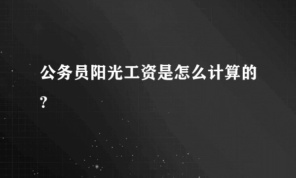 公务员阳光工资是怎么计算的?