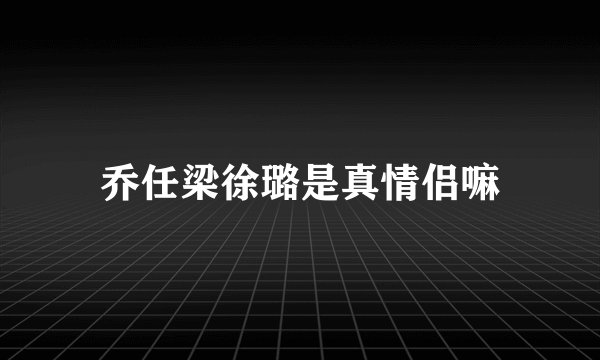乔任梁徐璐是真情侣嘛