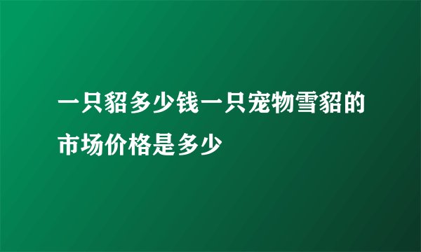一只貂多少钱一只宠物雪貂的市场价格是多少
