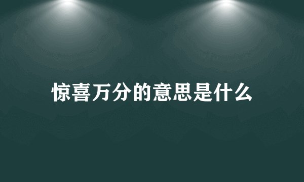 惊喜万分的意思是什么