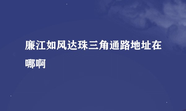 廉江如风达珠三角通路地址在哪啊