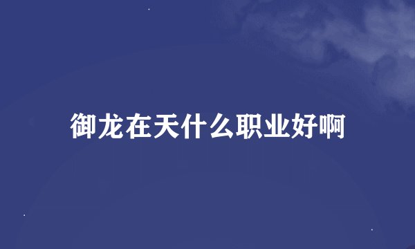 御龙在天什么职业好啊
