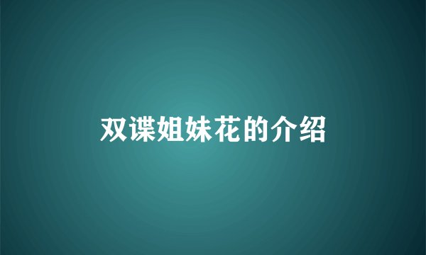 双谍姐妹花的介绍