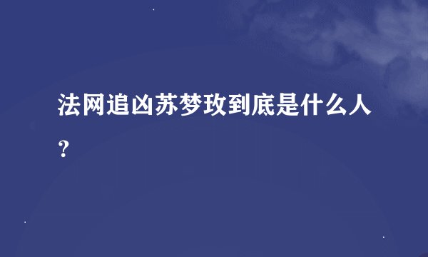 法网追凶苏梦玫到底是什么人?