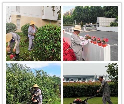 【致敬园林人】关于美好,多的是你不知道的事