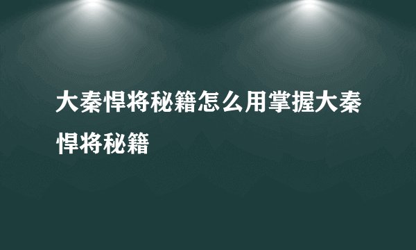 大秦悍将秘籍怎么用掌握大秦悍将秘籍