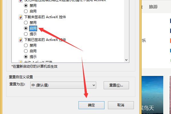 怎么下载activex控件啊?