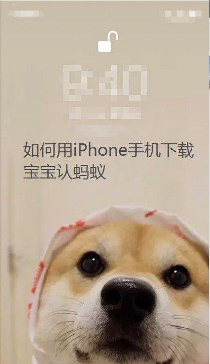 如何用iPhone手机下载宝宝认蚂蚁