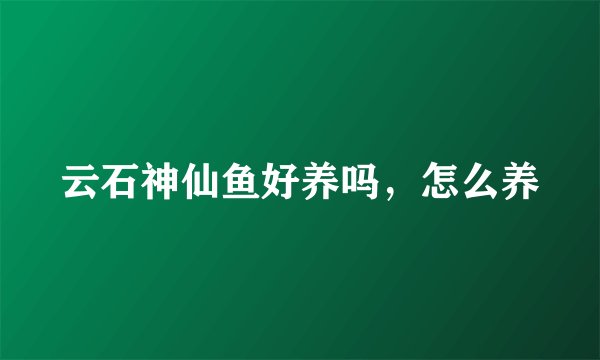 云石神仙鱼好养吗，怎么养